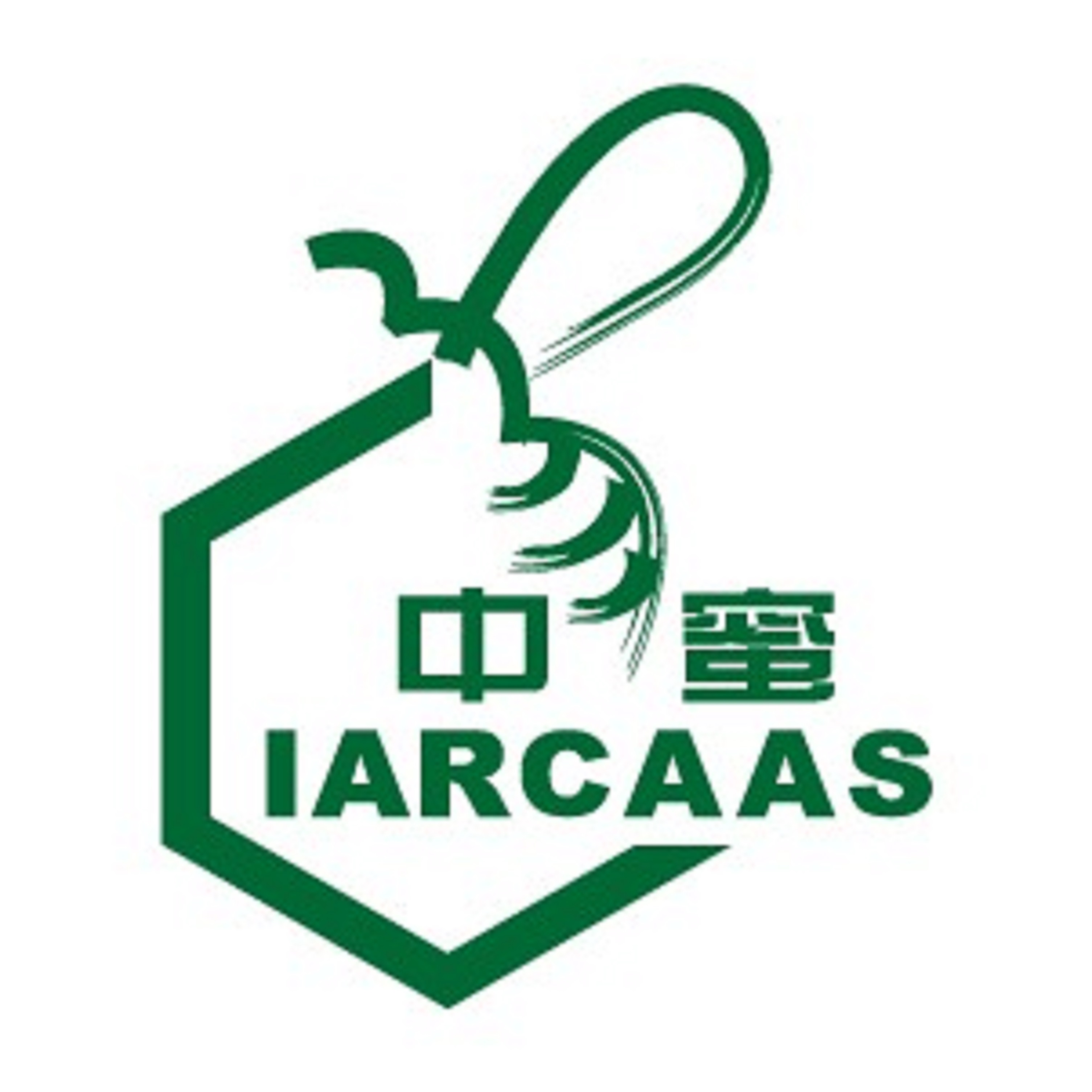 蜜蜂研究所LOGO